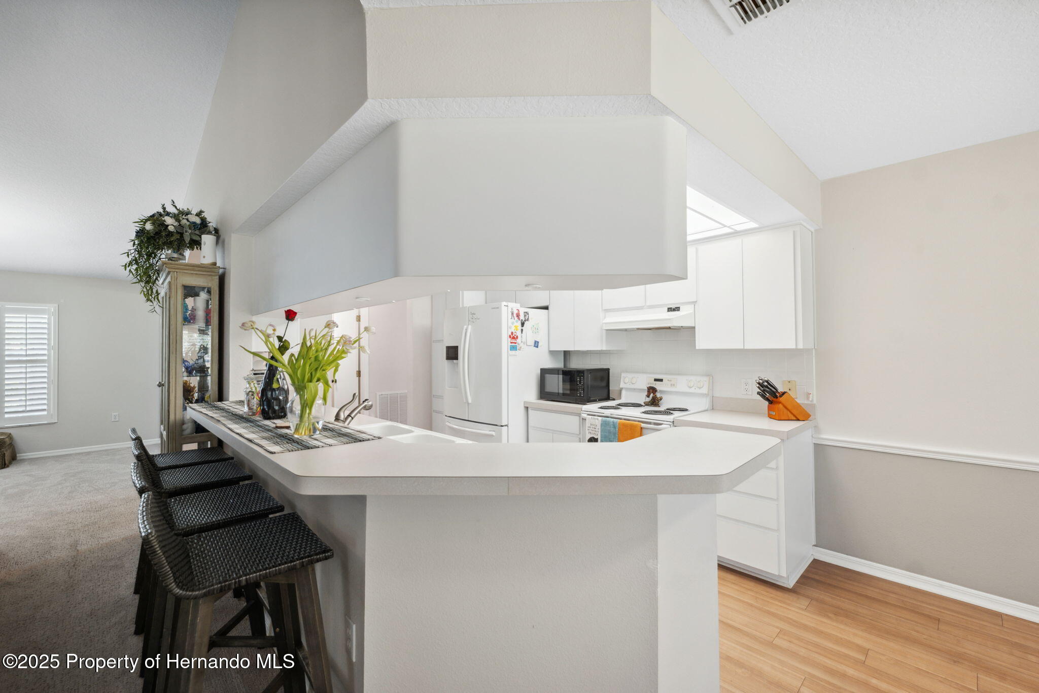 14173 Nugent Circle, Spring Hill, Florida image 14