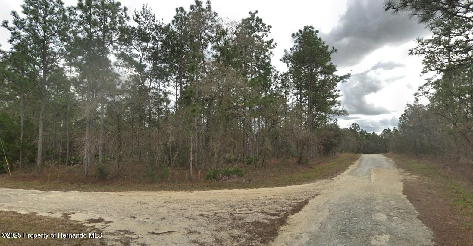 17444 Nighthawk Road, Brooksville, Florida image 7