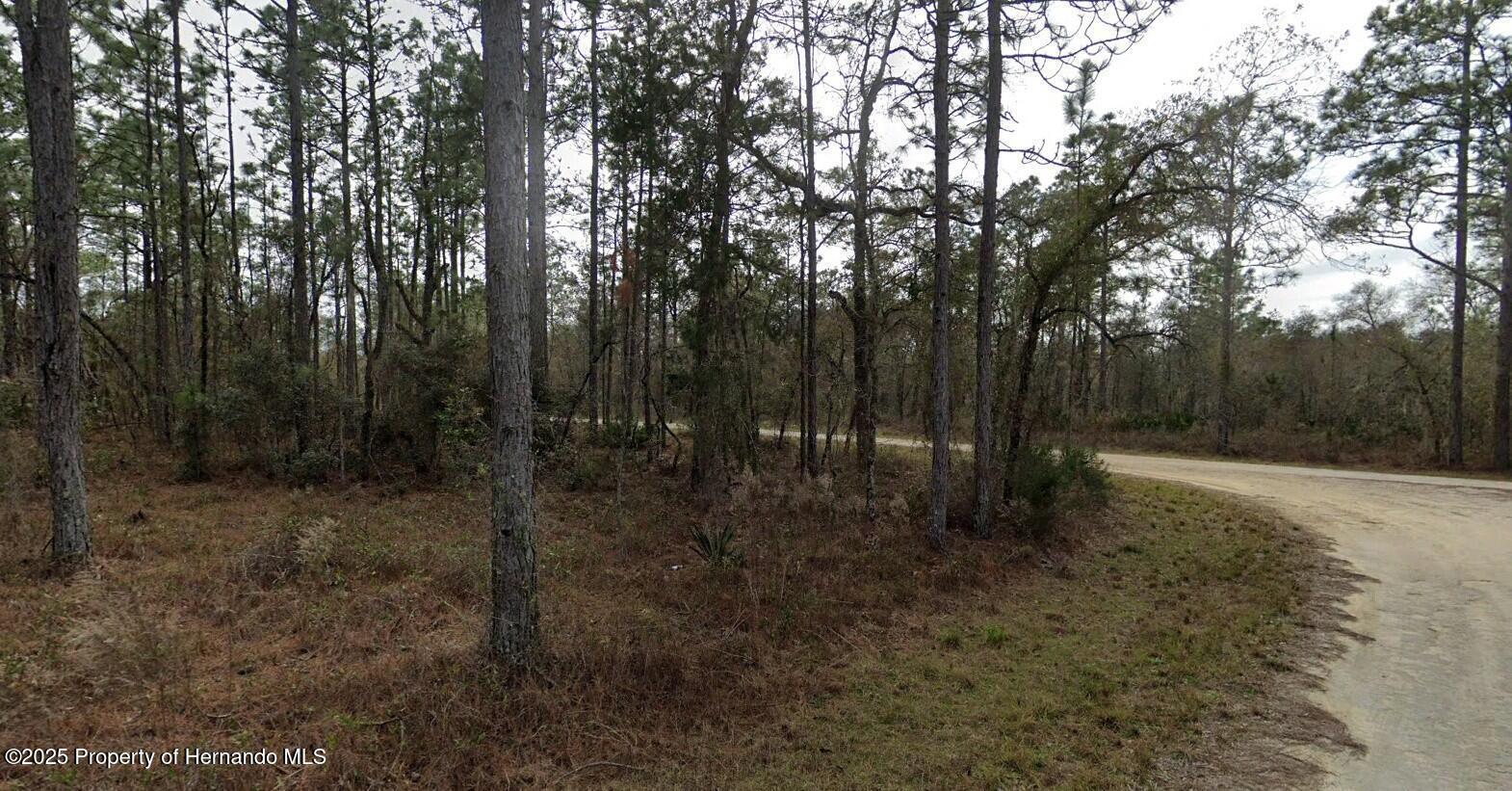 17444 Nighthawk Road, Brooksville, Florida image 8