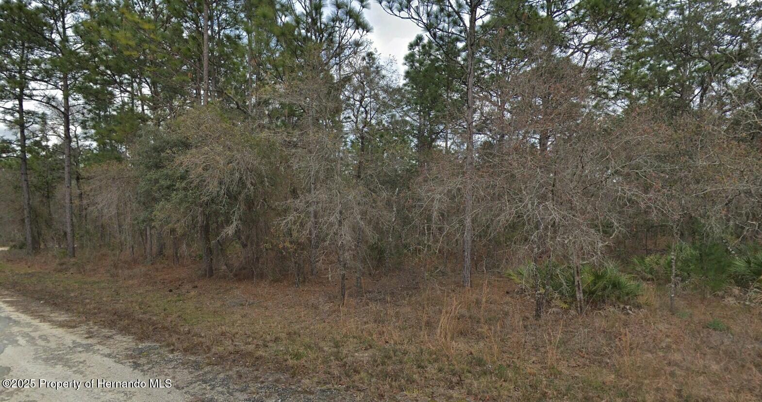 17444 Nighthawk Road, Brooksville, Florida image 6