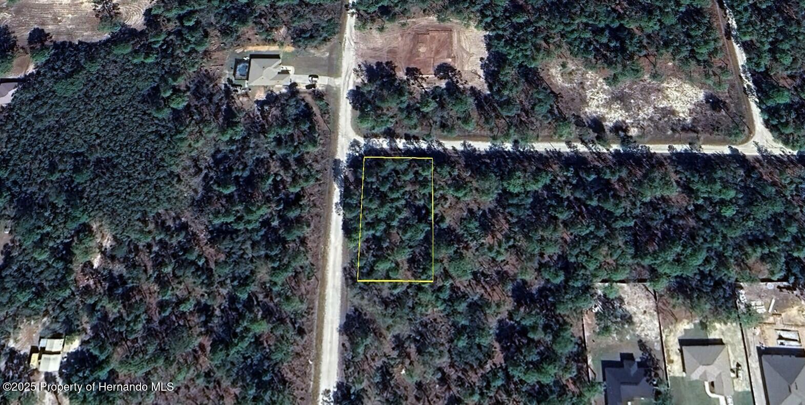 17444 Nighthawk Road, Brooksville, Florida image 1
