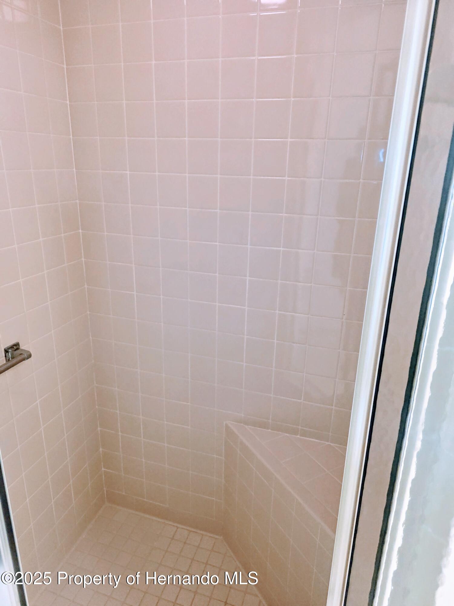 9843 St. Joseph Court, New Port Richey, Florida image 19
