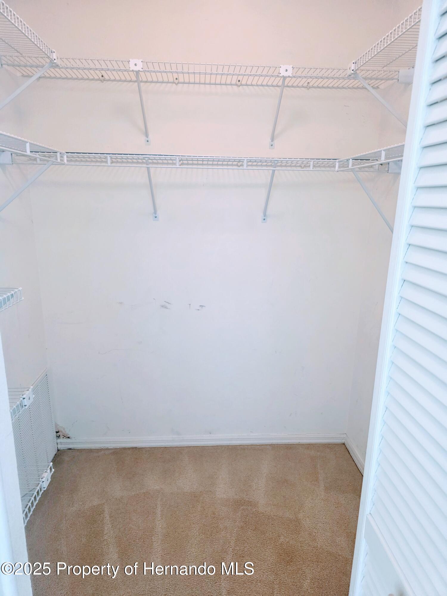 9843 St. Joseph Court, New Port Richey, Florida image 23