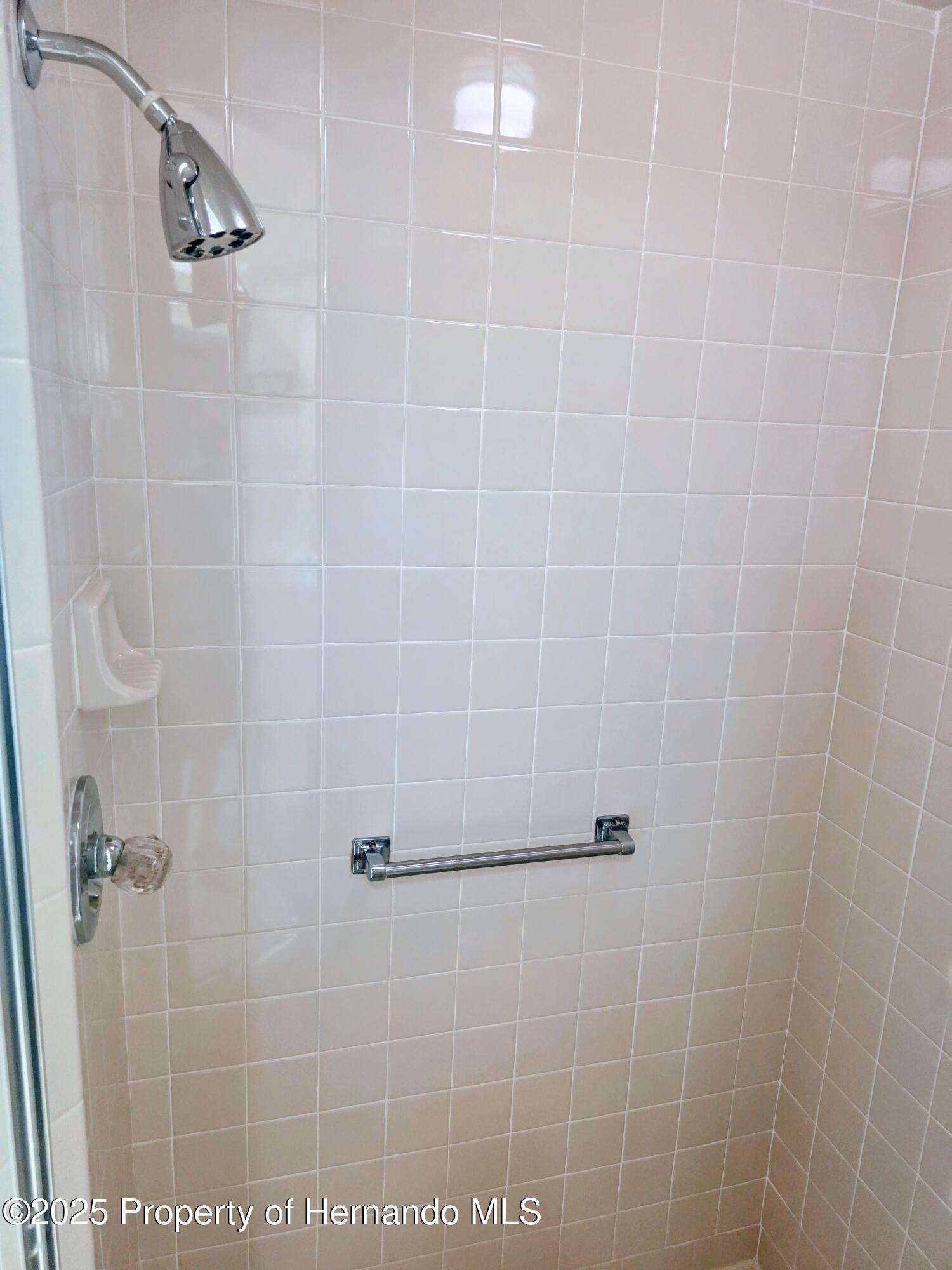 9843 St. Joseph Court, New Port Richey, Florida image 20