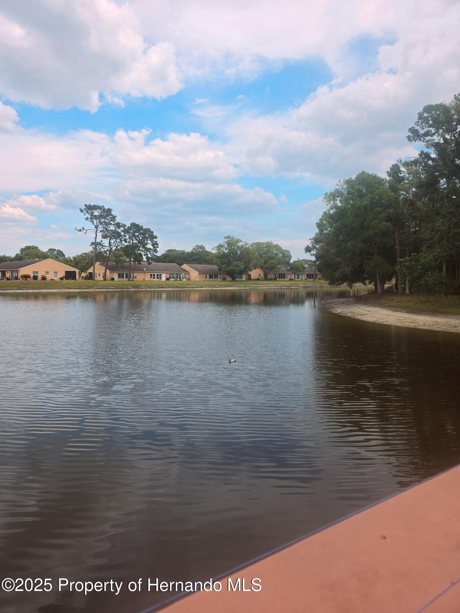 9843 St. Joseph Court, New Port Richey, Florida image 44