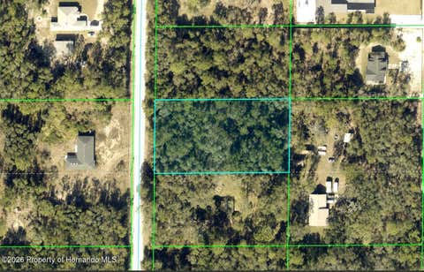 Vacant Land For Sale - Alloy Street<br/> Webster, FL 33597