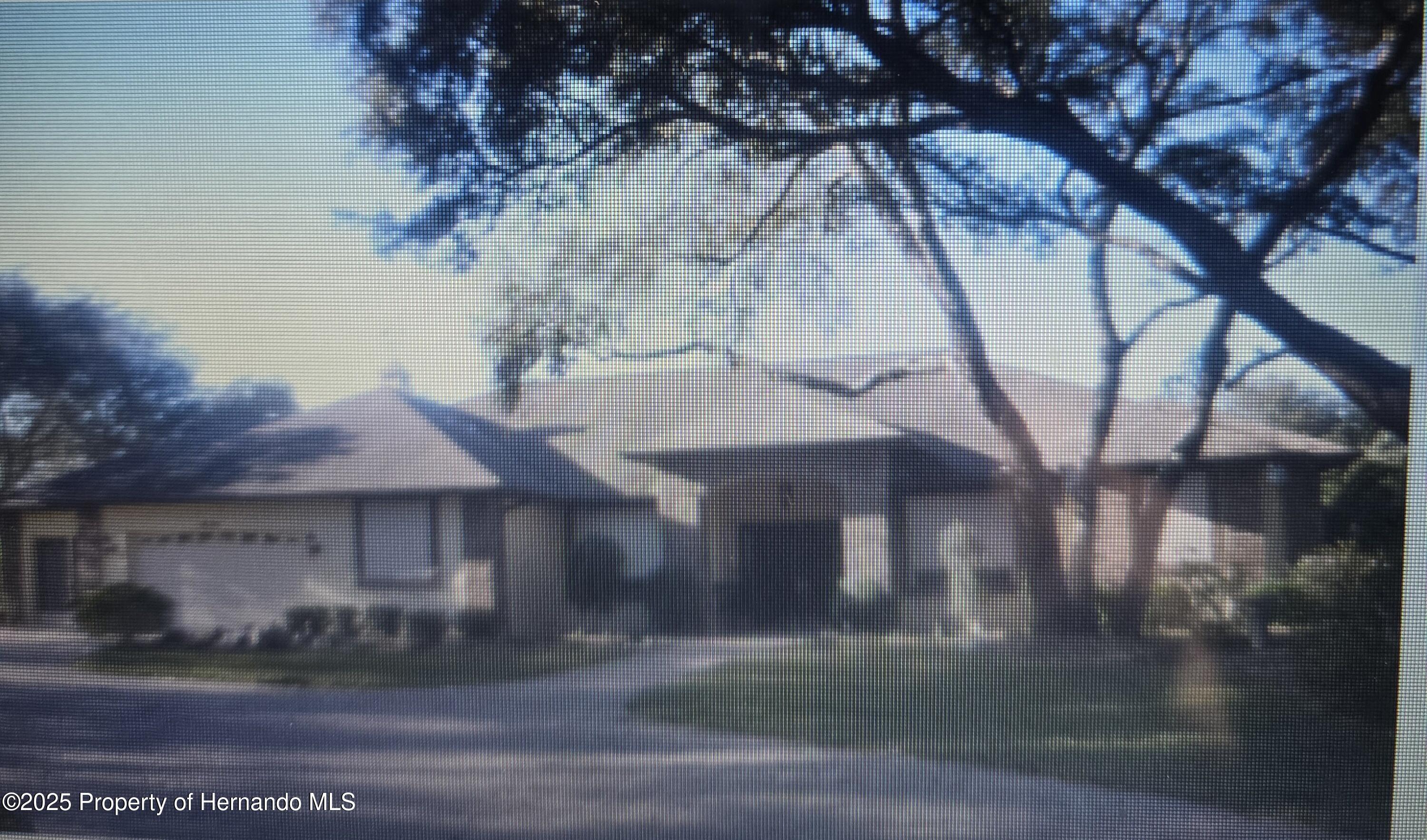 10430 Ramble Ridge Court, Weeki Wachee, Florida image 1