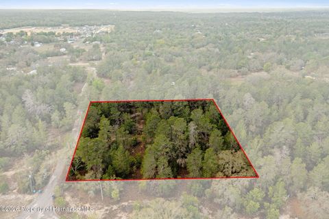 Vacant Land For Sale - Harrison Street<br/> Brooksville, FL 34613