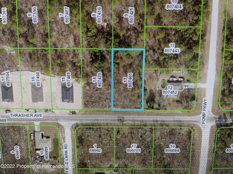Vacant Land For Sale - Thrasher Road<br/> Brooksville, FL 34614