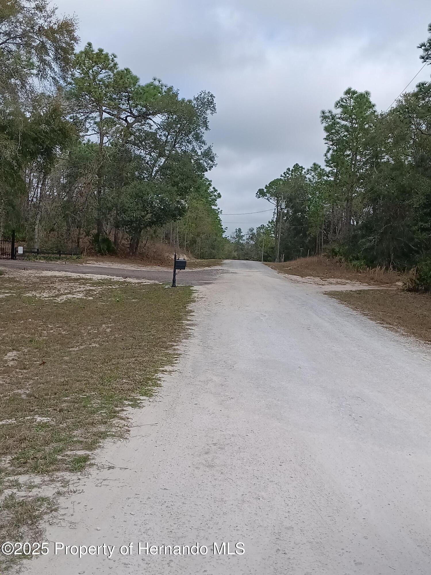 Colonel Avenue, Webster, Florida image 2