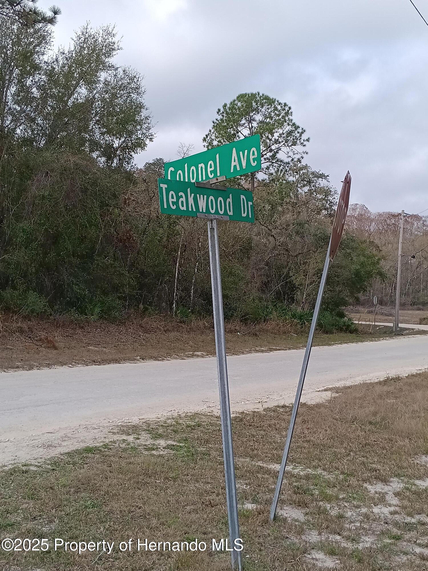 Colonel Avenue, Webster, Florida image 3