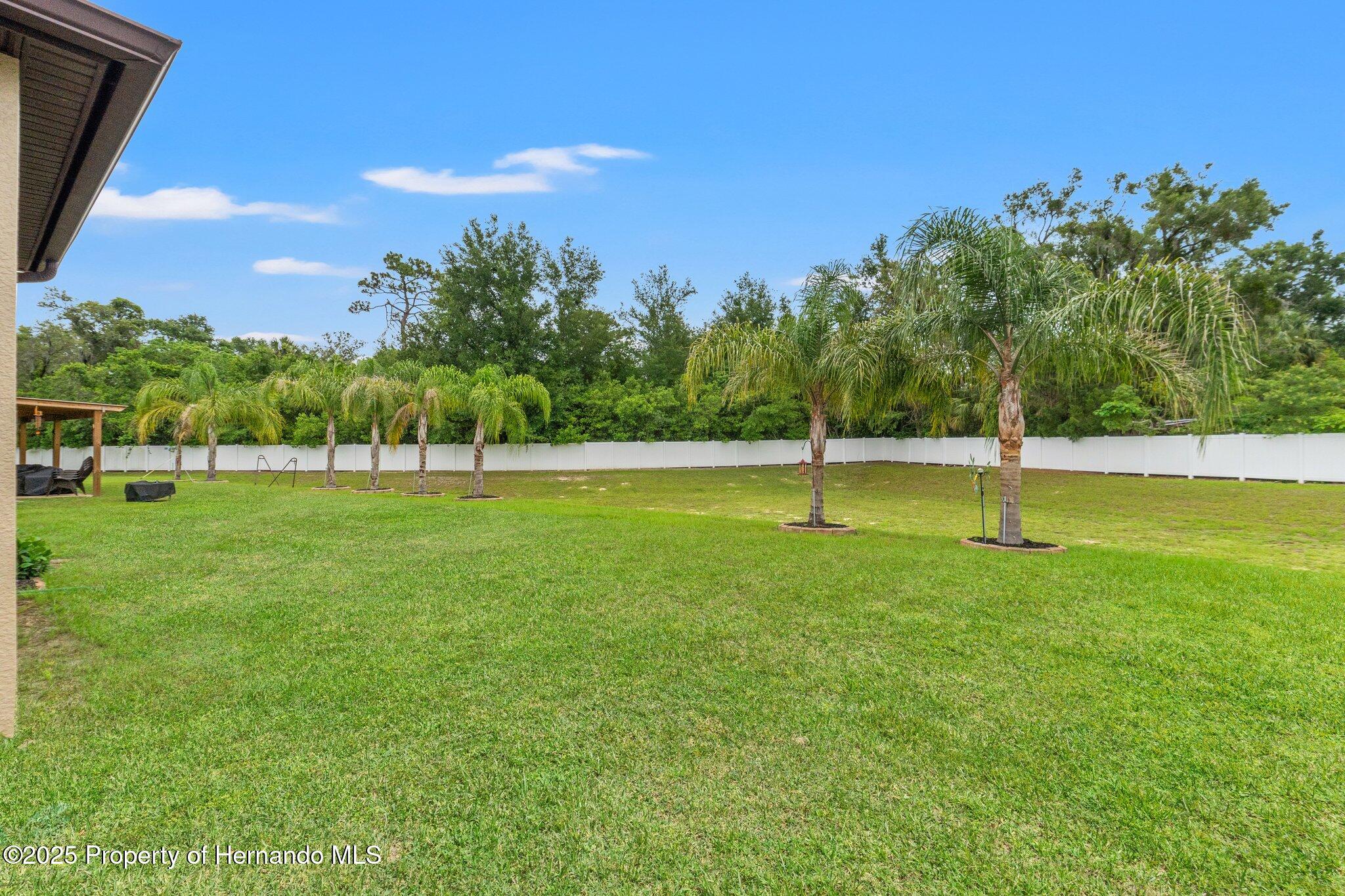 1987 Trillium Boulevard, Brooksville, Florida image 31