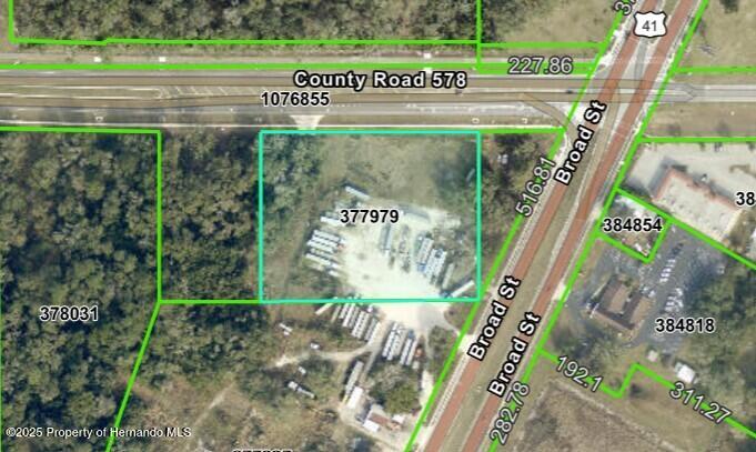 Broad, Brooksville, Florida image 1
