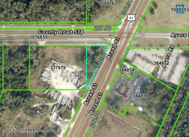 Broad, Brooksville, Florida image 3
