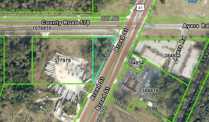 Broad, Brooksville, Florida image 2