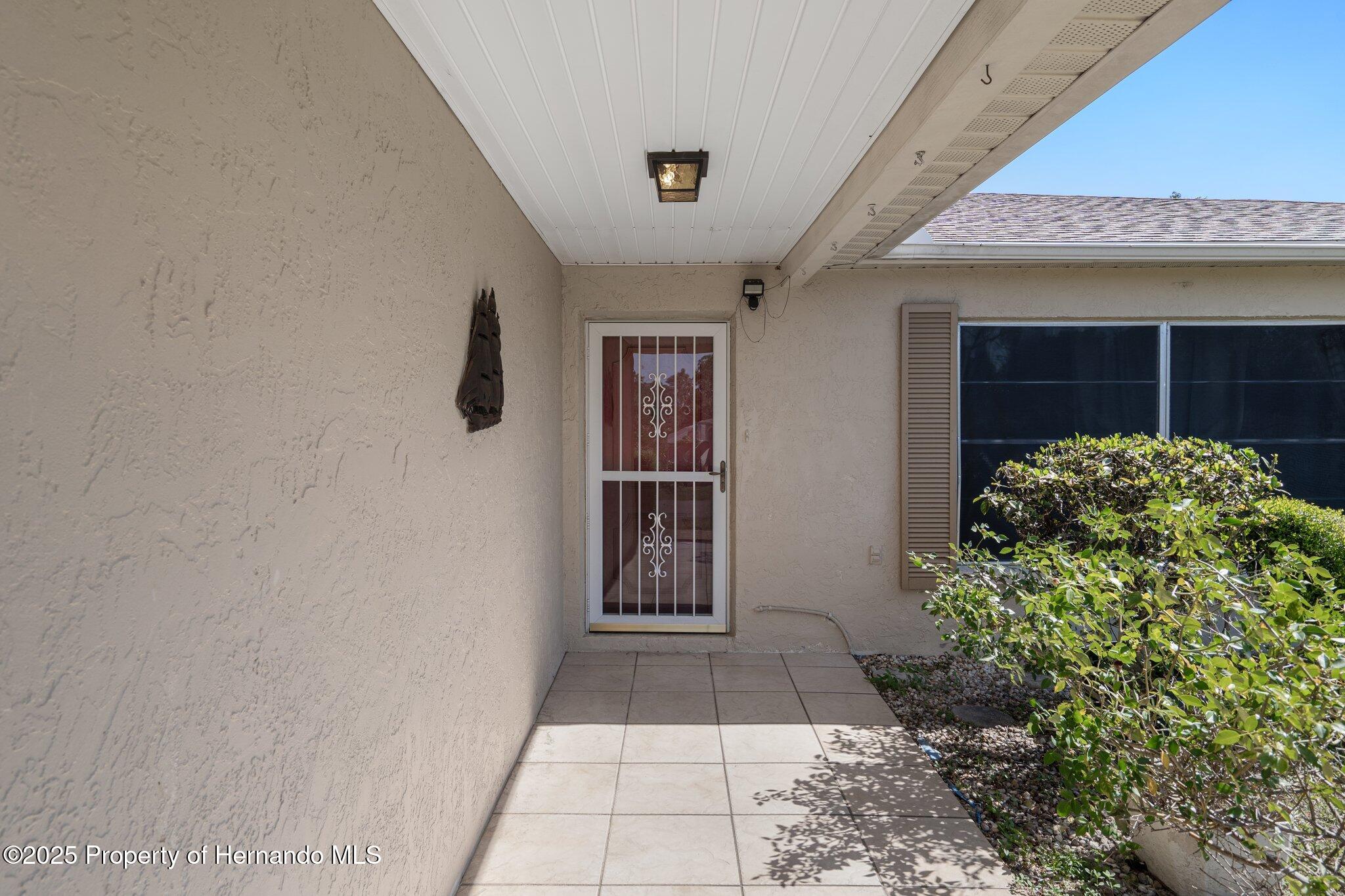 2204 Whitewood Avenue, Spring Hill, Florida image 5