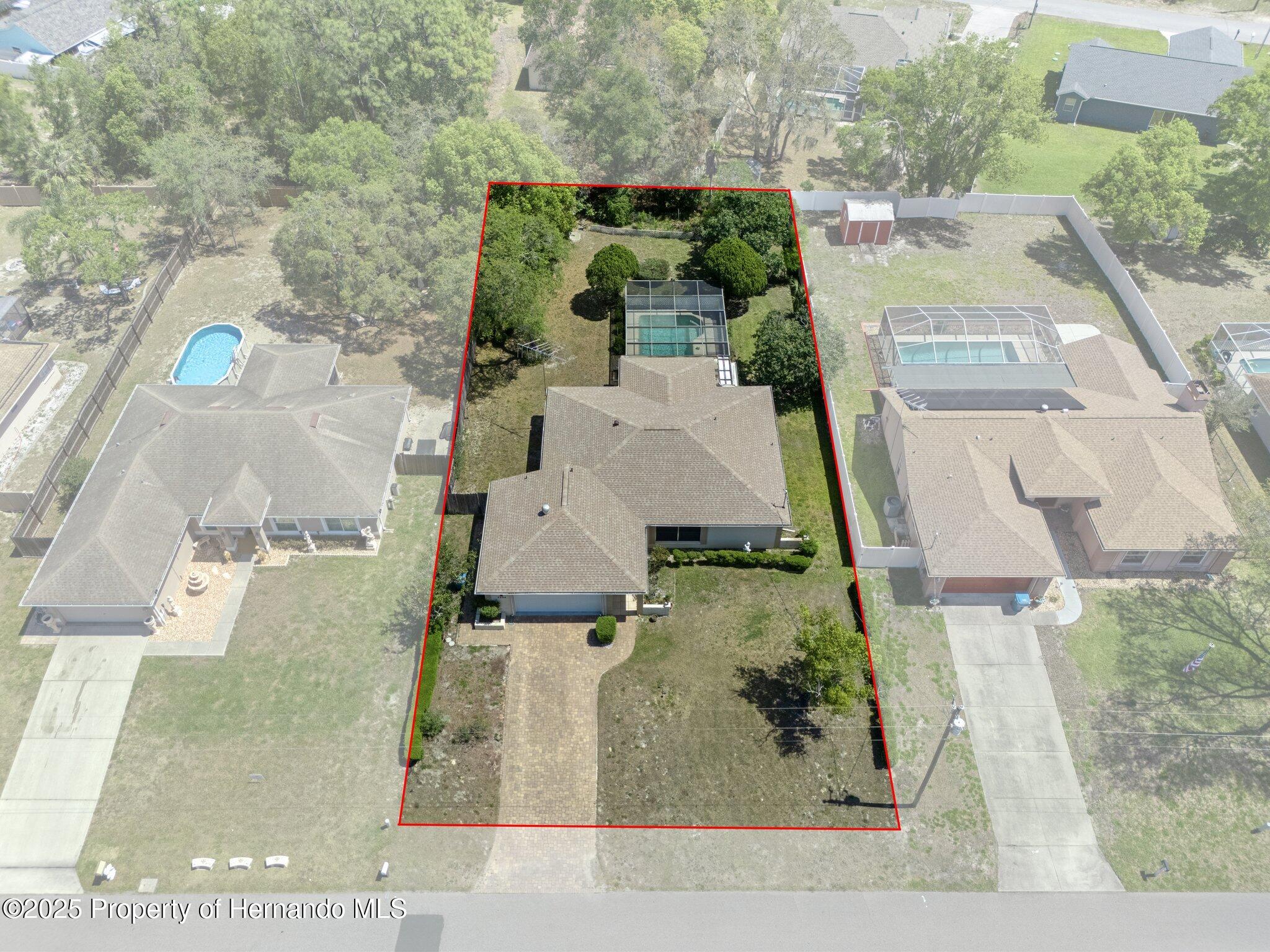 2204 Whitewood Avenue, Spring Hill, Florida image 4
