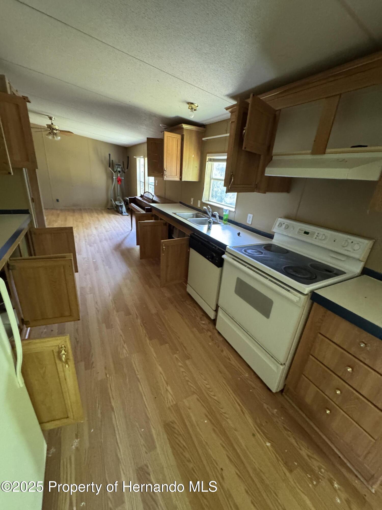 28492 Sentinel Street, Nobleton, Florida image 5