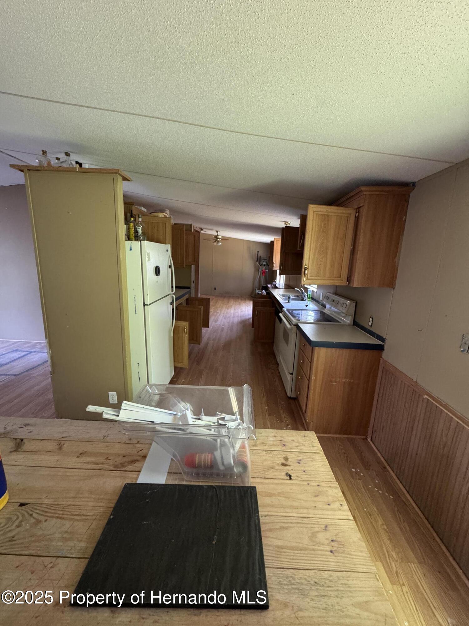 28492 Sentinel Street, Nobleton, Florida image 6