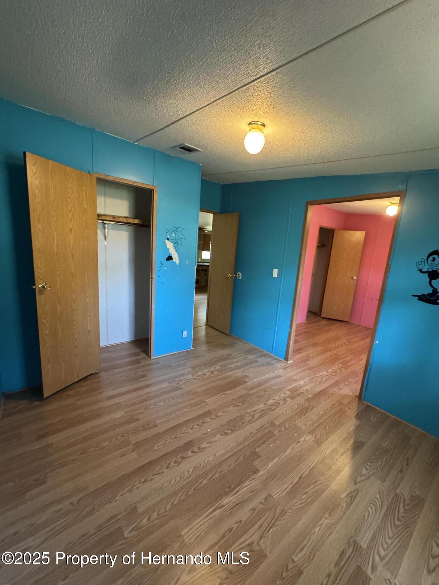 28492 Sentinel Street, Nobleton, Florida image 17
