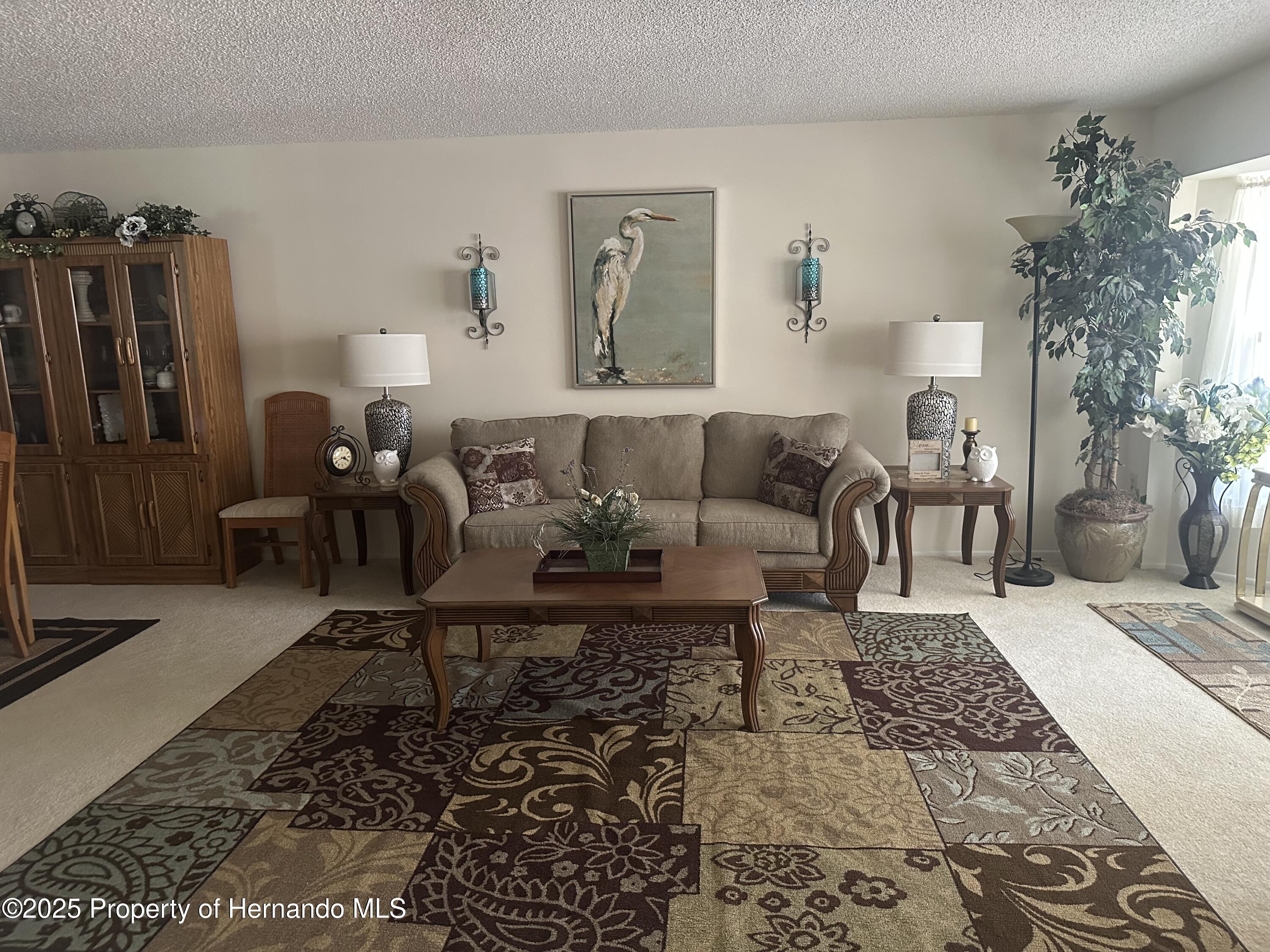 2351 Palm Springs Court, Spring Hill, Florida image 4