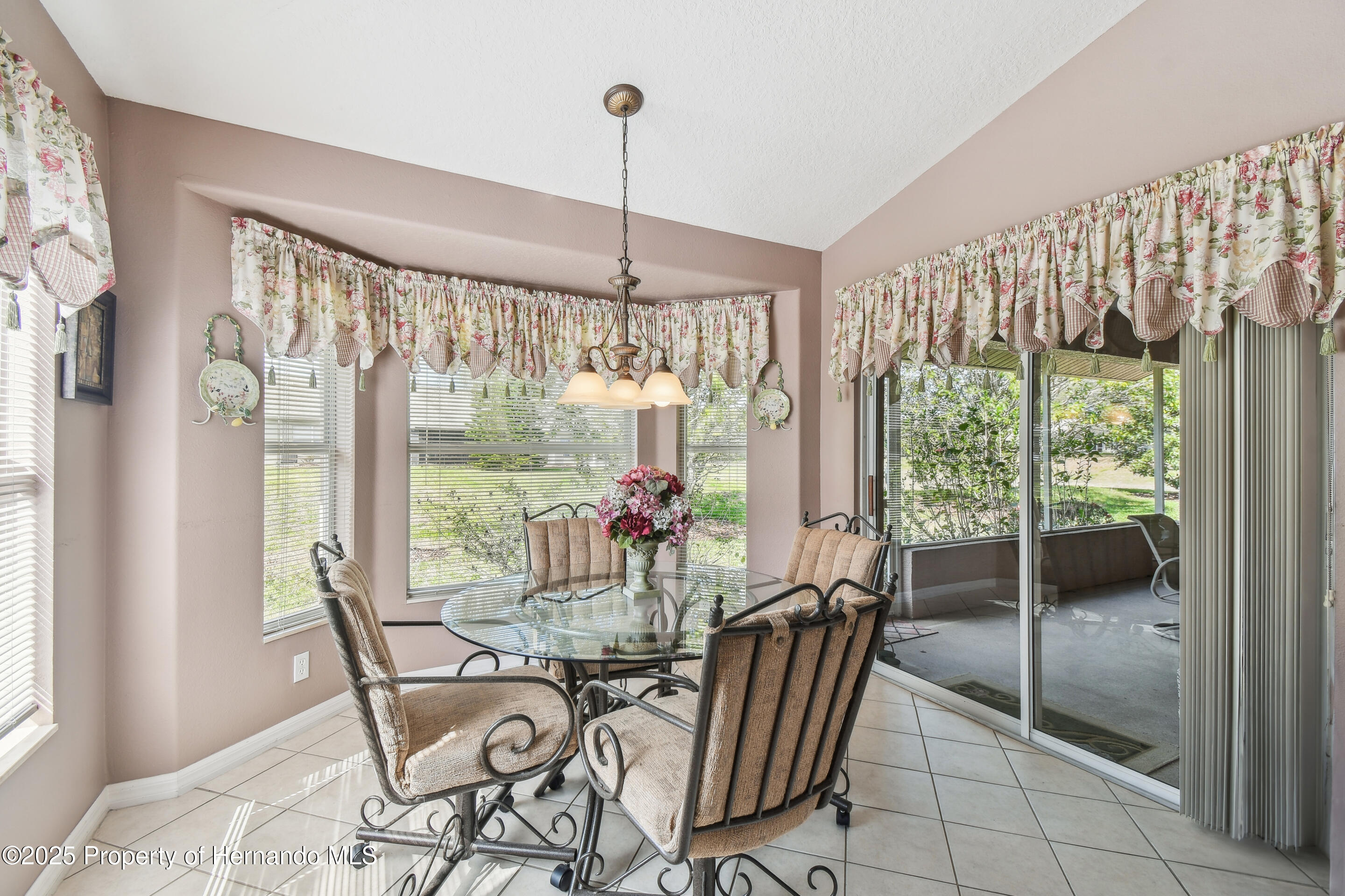 18129 Baywood Forest Dr, Hudson, Florida image 12