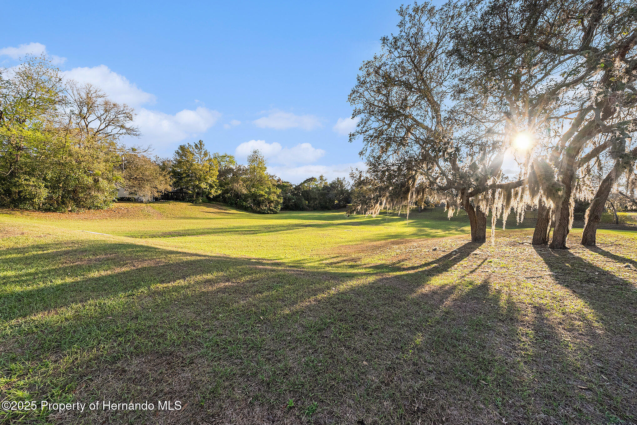 320 Preston Hollow Drive, Spring Hill, Florida image 42