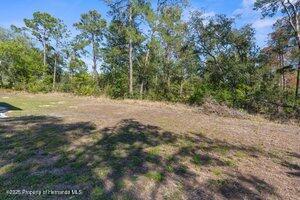 1 Greenpark Boulevard, Homosassa, Florida image 40