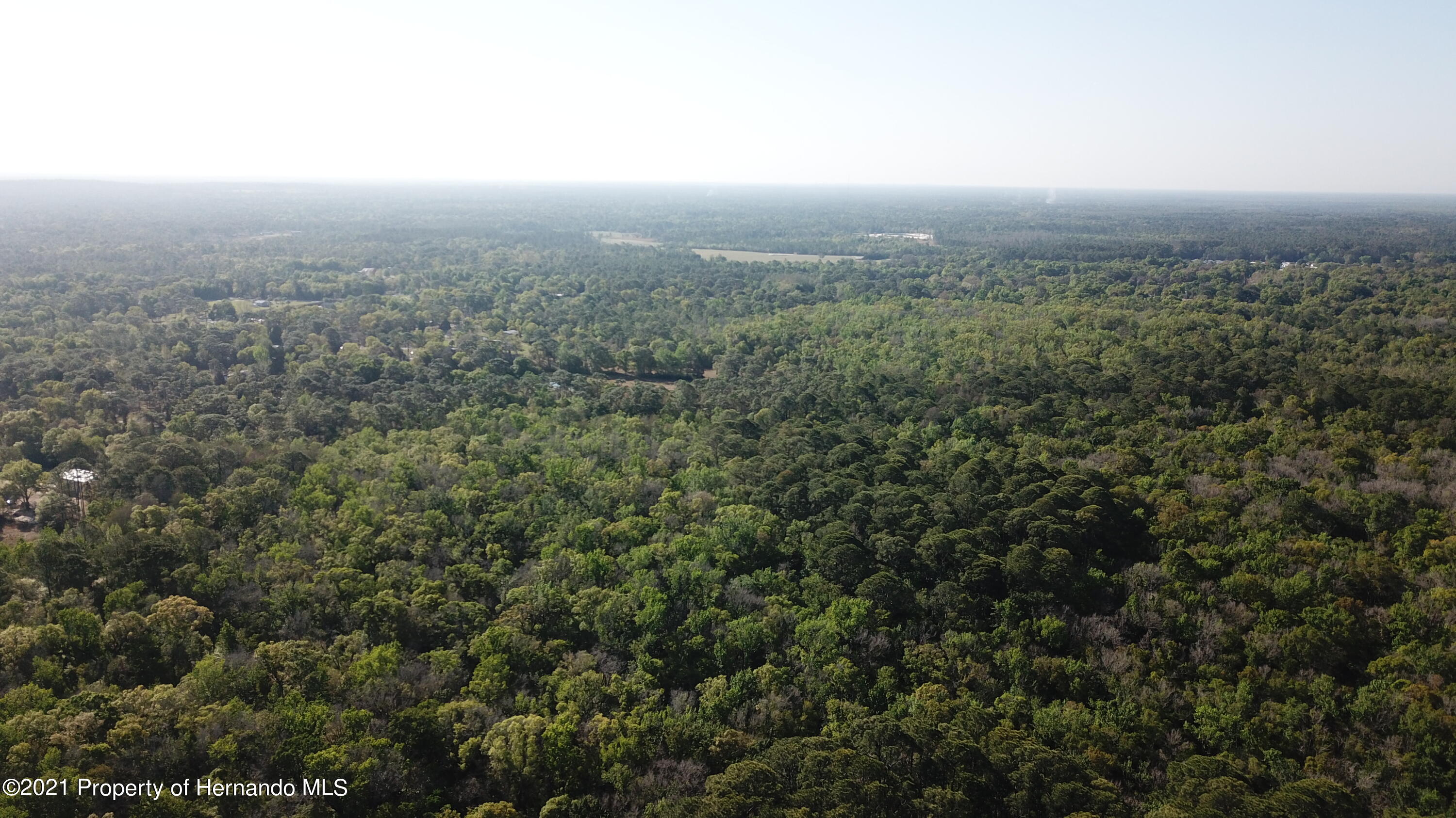 1500 S Candlenut &1627 S Palm Ave Ave, Homosassa, Florida image 14