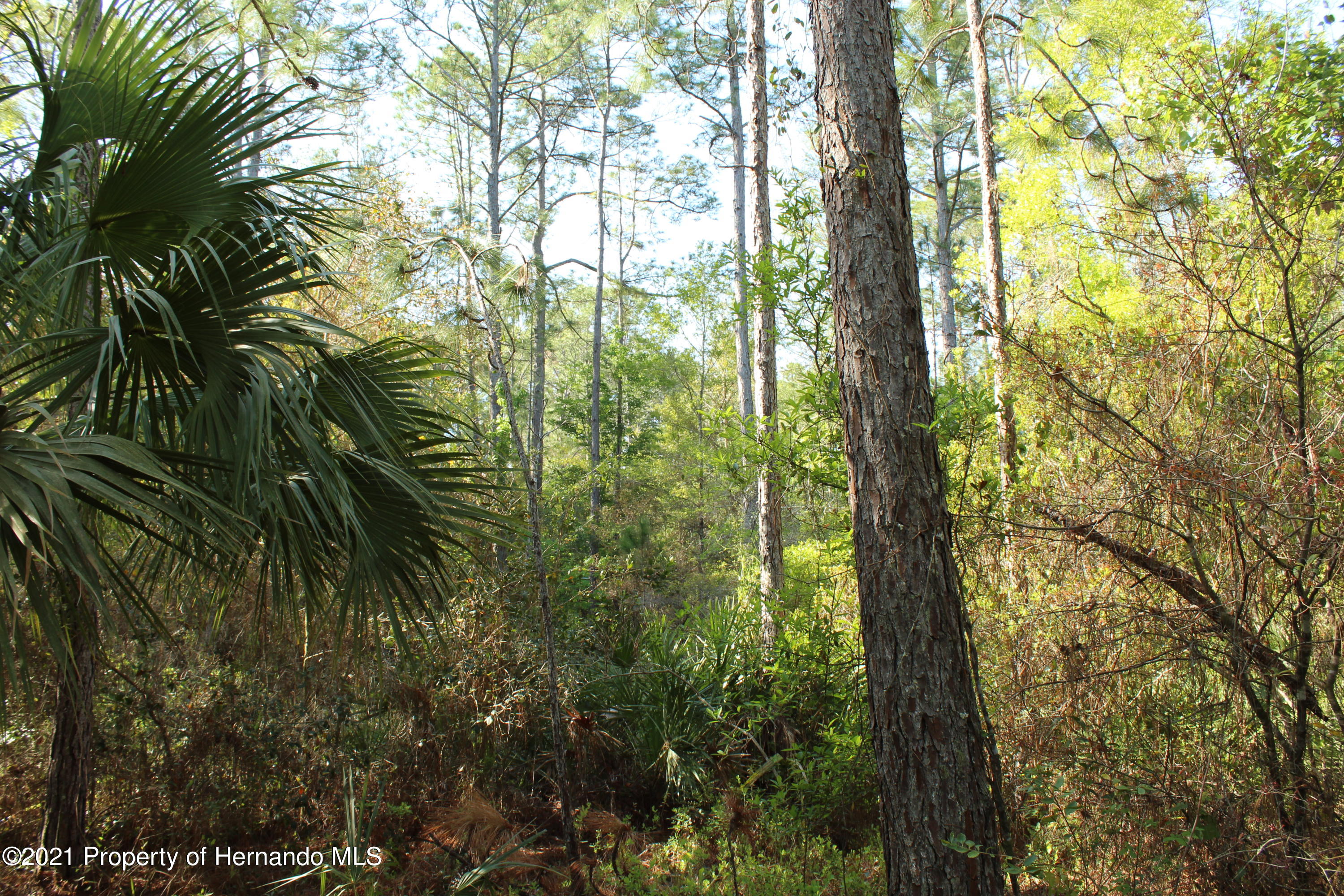 1500 S Candlenut &1627 S Palm Ave Ave, Homosassa, Florida image 7