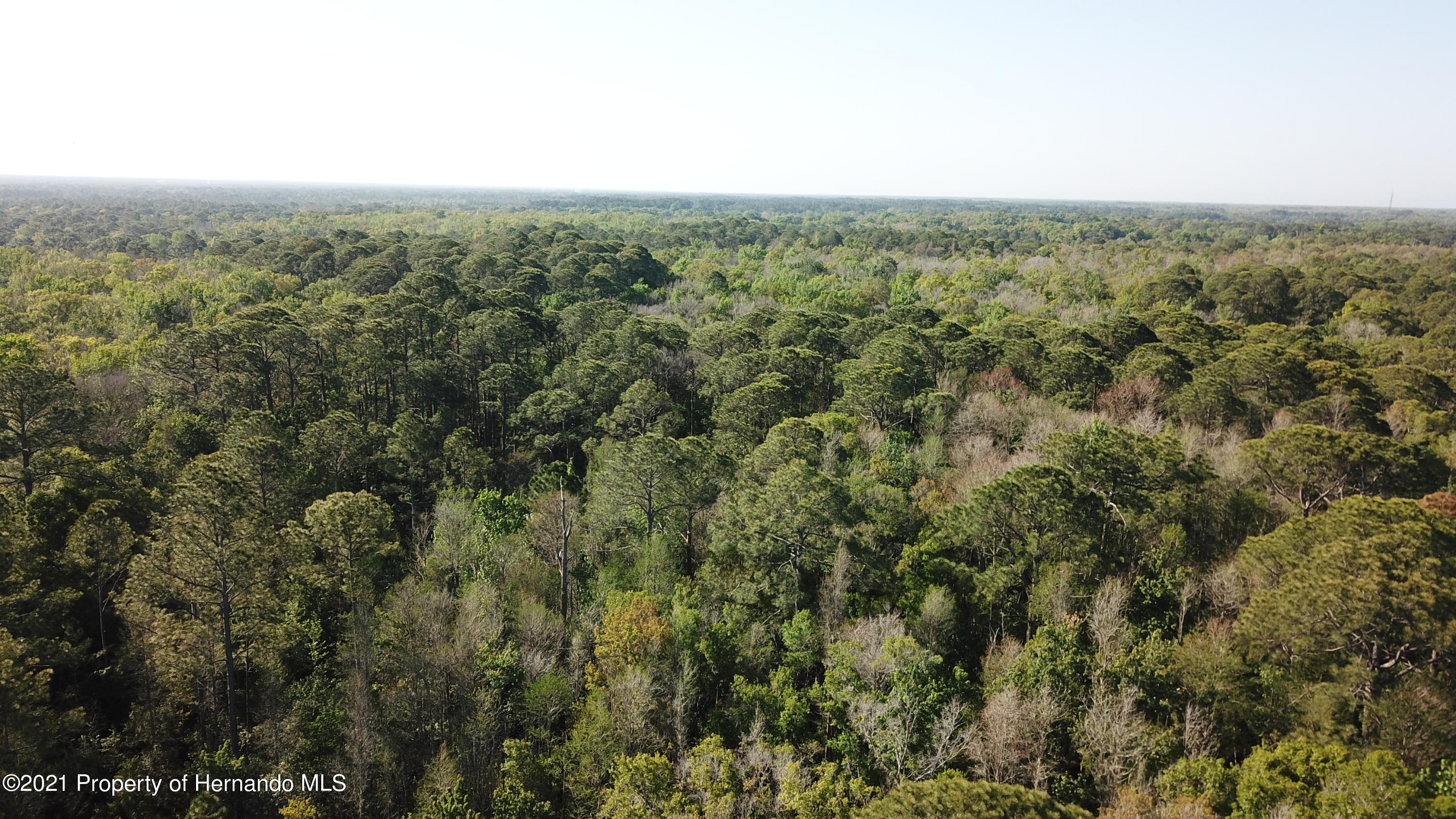 1500 S Candlenut &1627 S Palm Ave Ave, Homosassa, Florida image 13