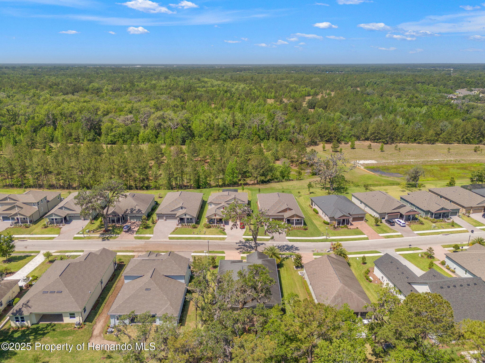4910 Southern Valley Loop, Brooksville, Florida image 46