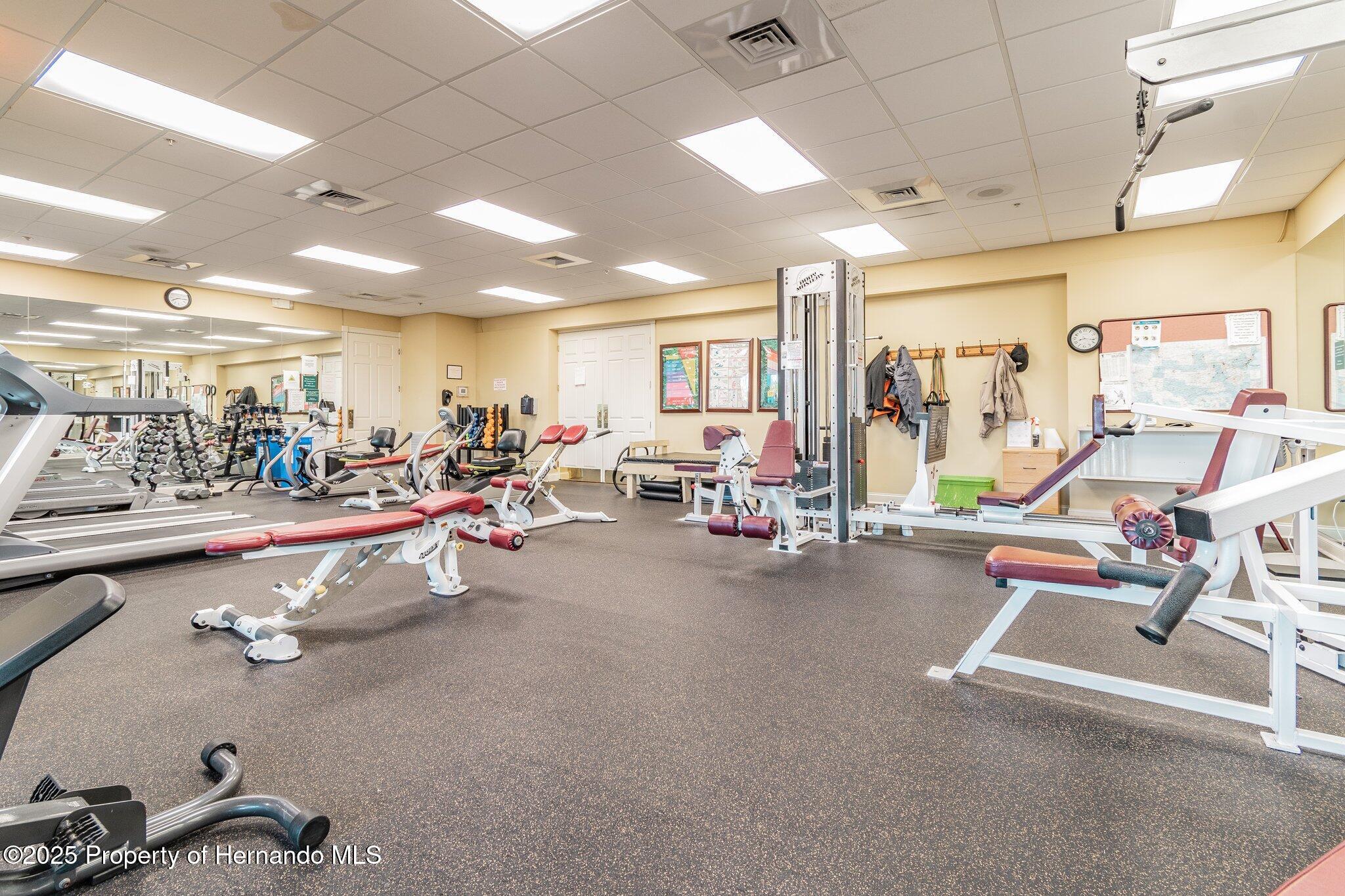18223 Nestlebranch Court, Hudson, Florida image 50
