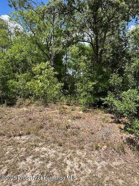 2235 W Summer Place, Citrus Springs, Florida image 5