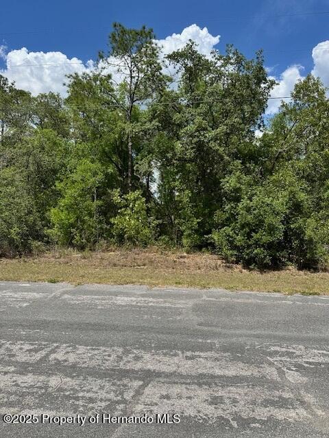 2235 W Summer Place, Citrus Springs, Florida image 1