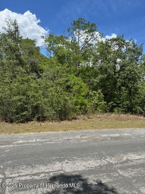 2235 W Summer Place, Citrus Springs, Florida image 3
