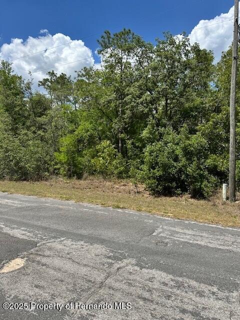 2235 W Summer Place, Citrus Springs, Florida image 2