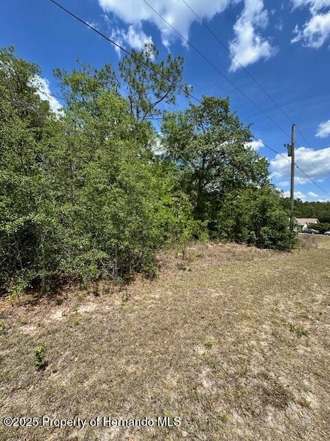 2235 W Summer Place, Citrus Springs, Florida image 6