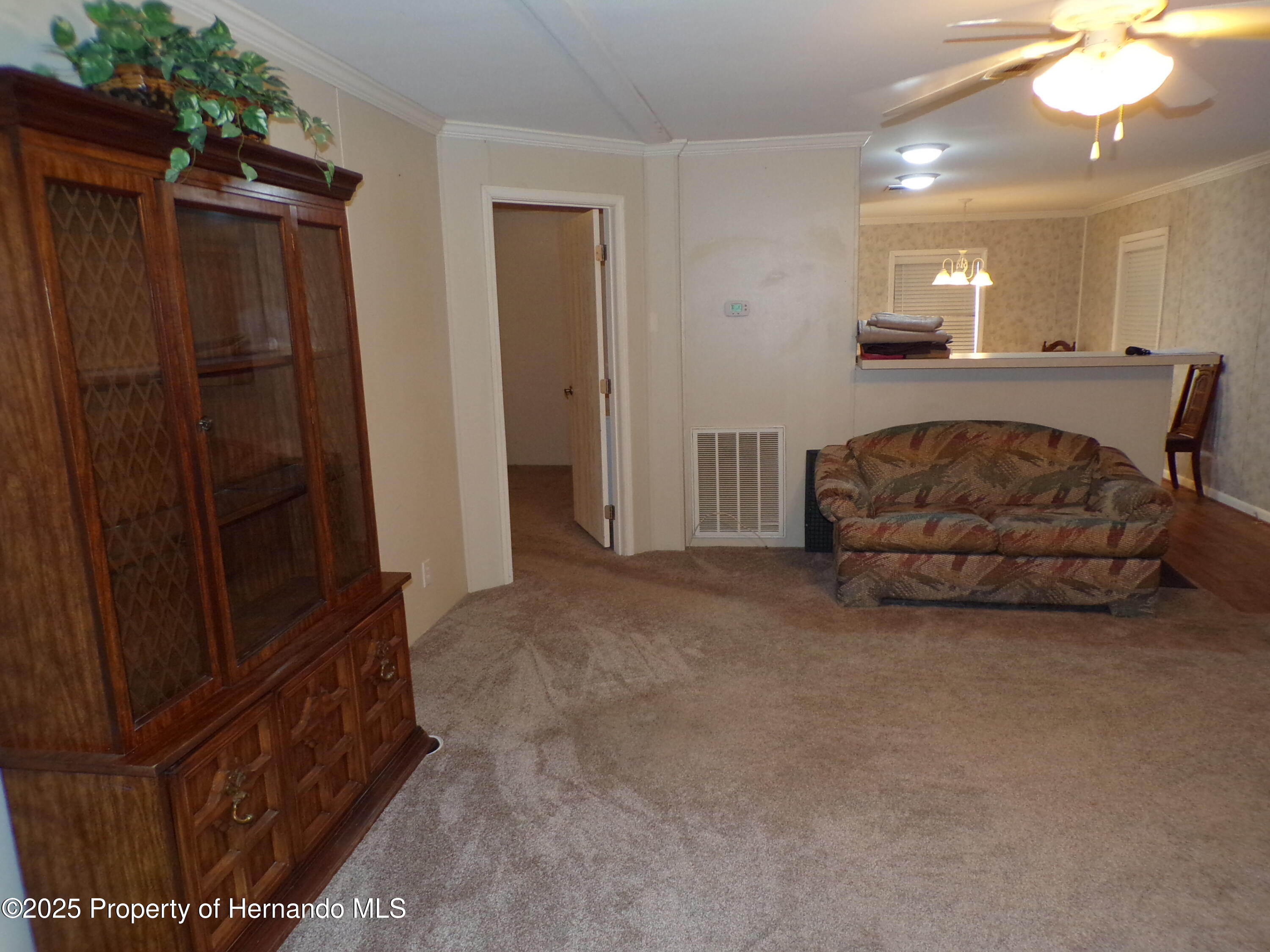 5416 Alice Street, Brooksville, Florida image 12