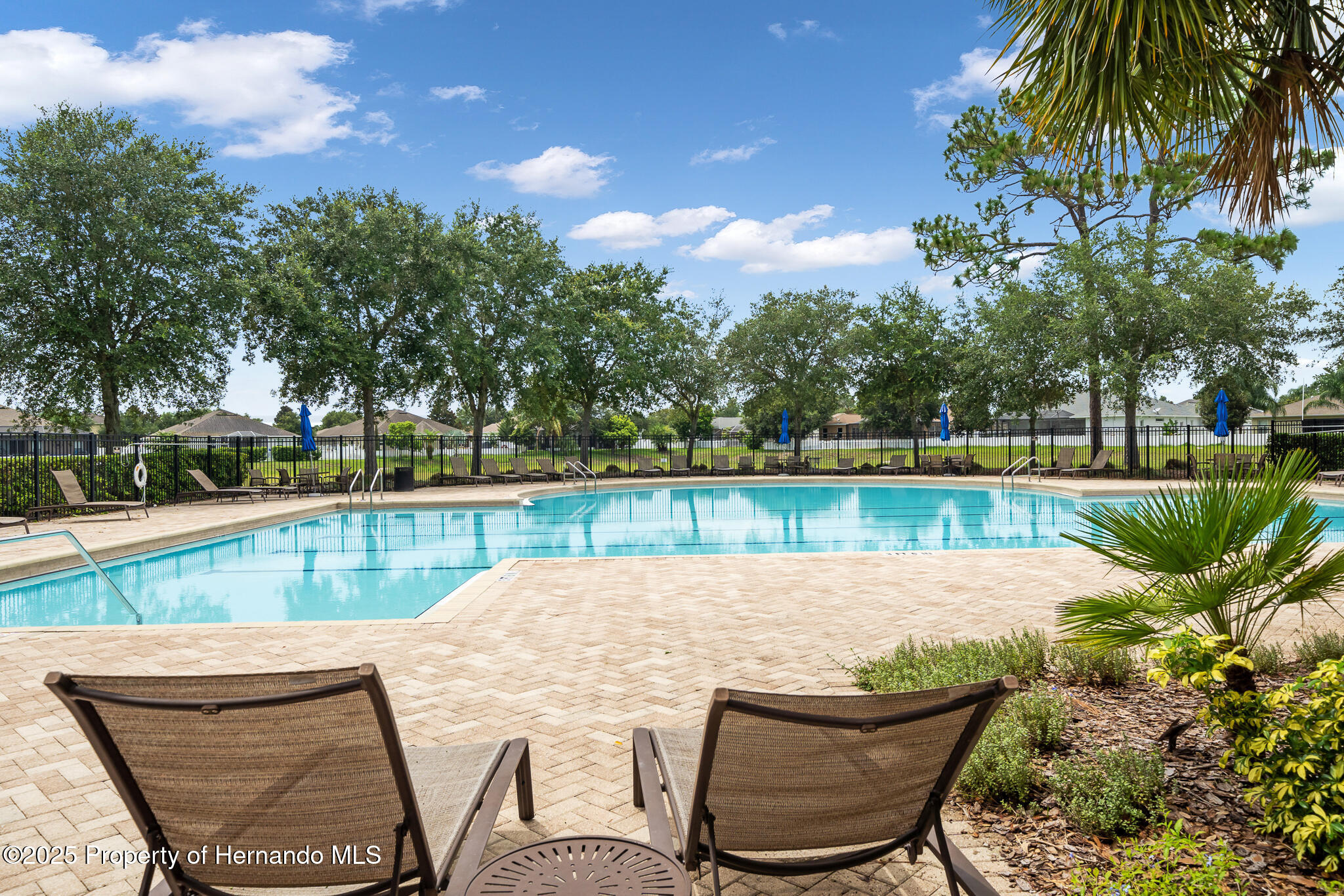 396 Winthrop Drive, Spring Hill, Florida image 34