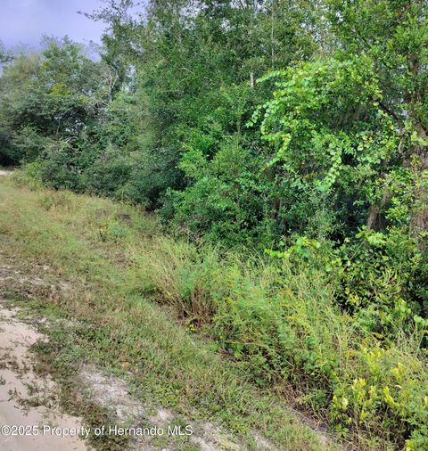 Vacant Land For Sale - Harmony Drive<br/> Ridge Manor, FL 33523