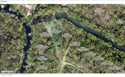 Vacant Land For Sale - Riverview Drive<br/> Webster, FL 33597