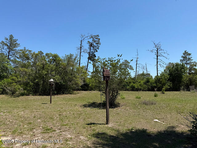 4244 Nancy Creek Boulevard, Brooksville, Florida image 6