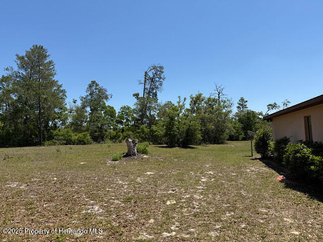 4244 Nancy Creek Boulevard, Brooksville, Florida image 10