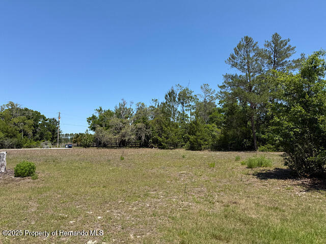 4244 Nancy Creek Boulevard, Brooksville, Florida image 9
