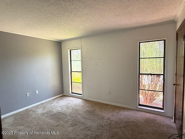 4244 Nancy Creek Boulevard, Brooksville, Florida image 18