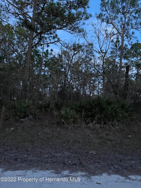Vacant Land For Sale - Malibar Rd<br/> Weeki Wachee, FL 34614