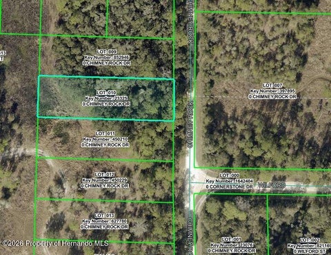 Vacant Land For Sale - 9111 Chimney Rock Drive<br/> Webster, FL 33597