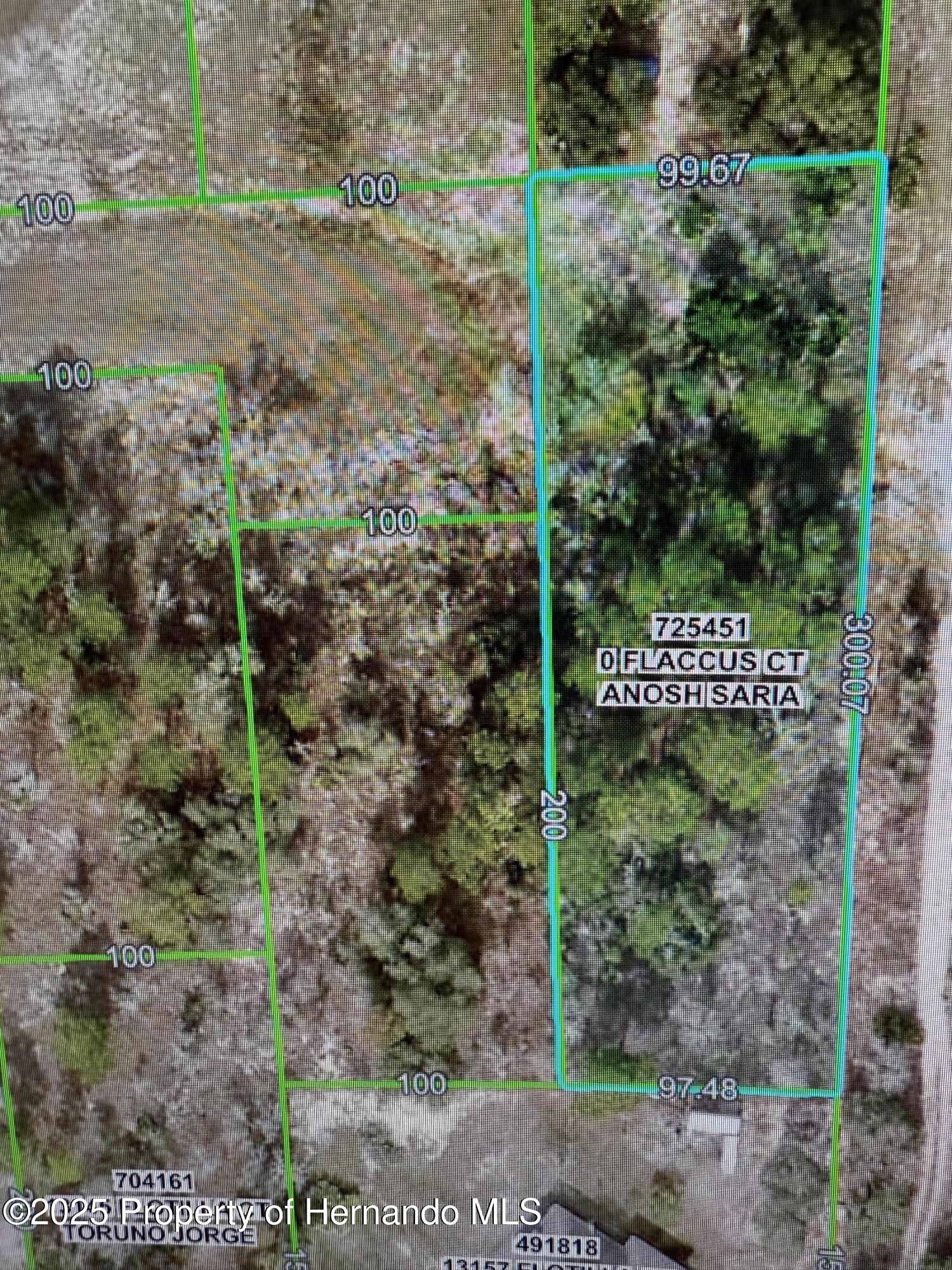Flaccus Court, Weeki Wachee, Florida image 3