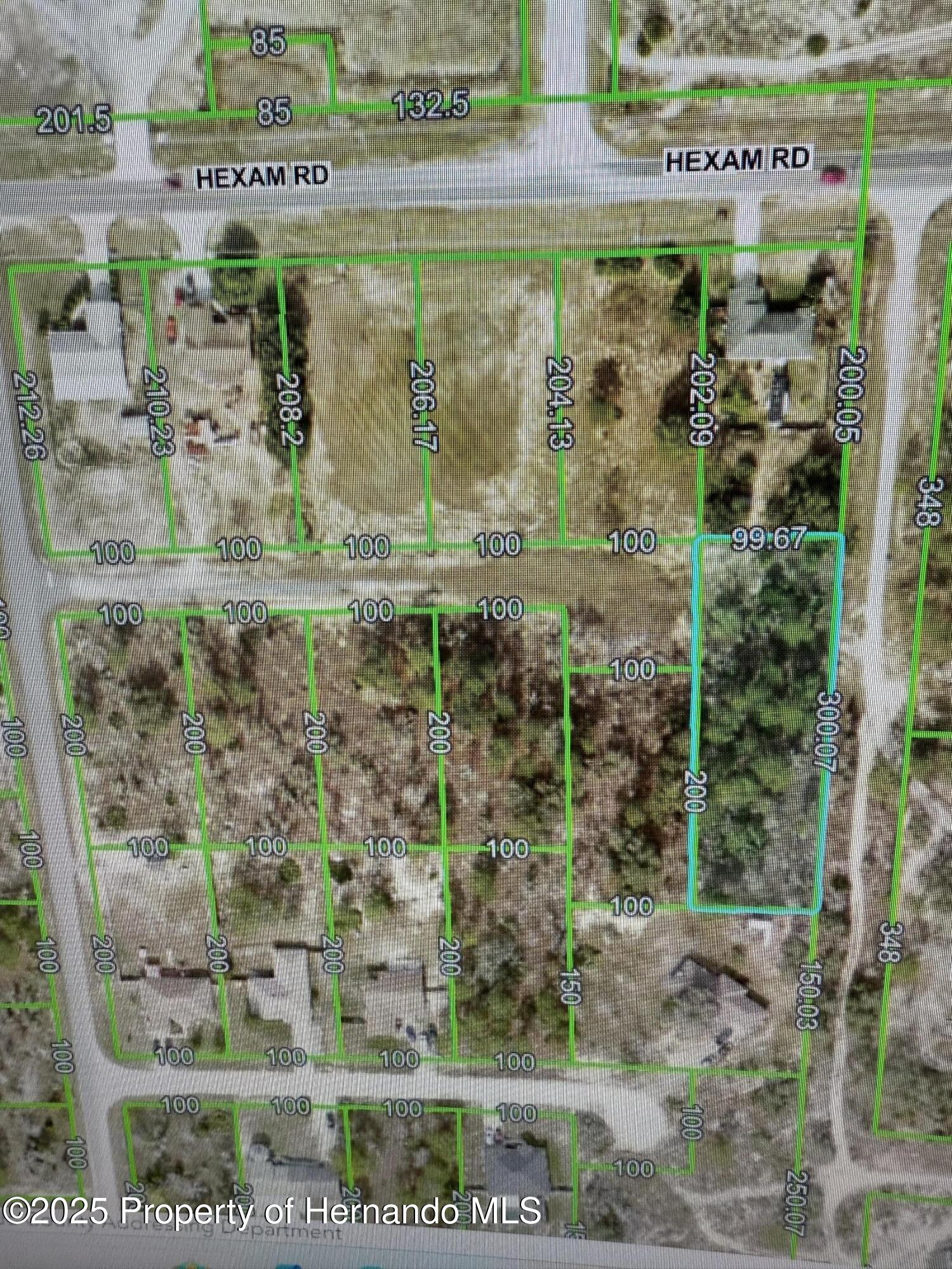Flaccus Court, Weeki Wachee, Florida image 1